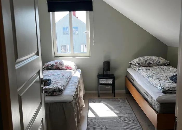 Cozy And New In -hill Διαμέρισμα